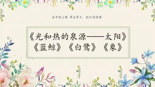 五年级上册语文课件-第五单元组文阅读课《蓝鲸》等 人教部编版 (共16张PPT)