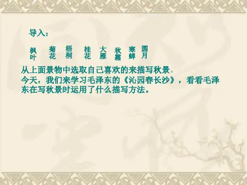 沁园春长沙课件共29张PPT