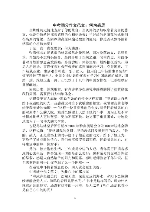 最新2020年中考满分作文：何为感恩范文示例