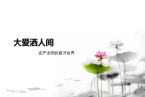 慈济介绍