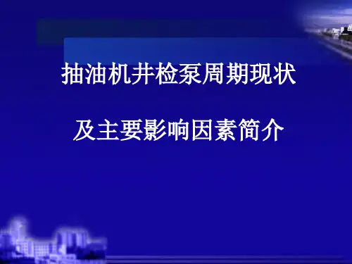 《抽油机井检泵周期》