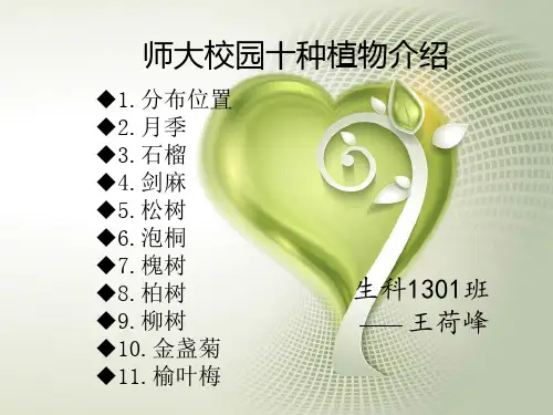 山西师范大学校园内植物简介