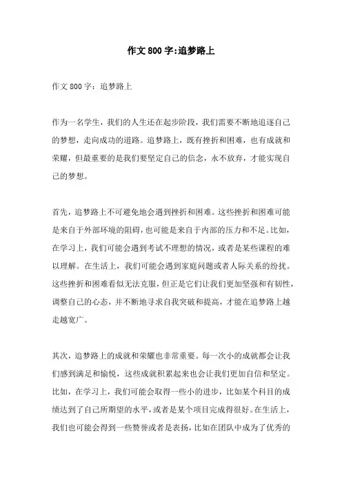 作文800字追梦路上