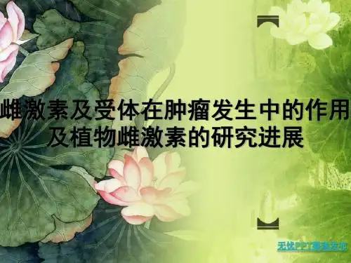 雌激素及雌激素受体简介