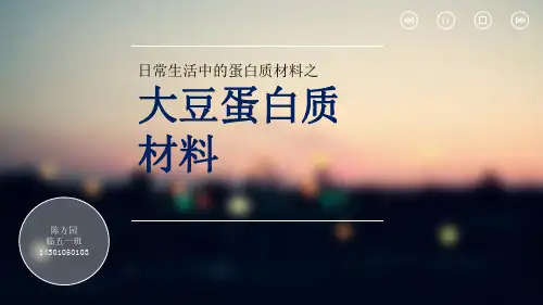 日常生活中的蛋白质材料