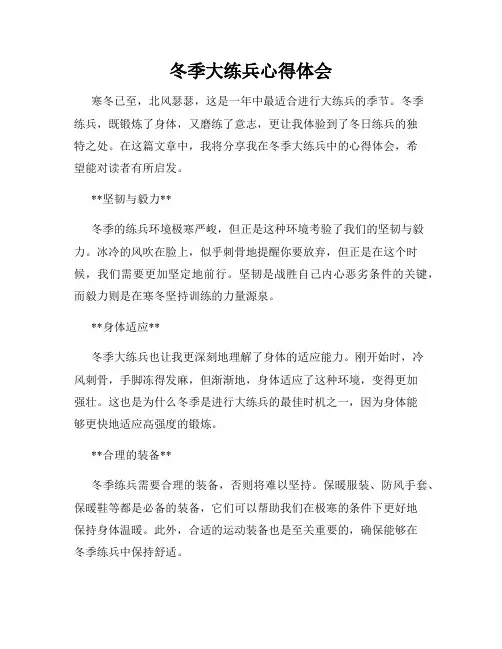 冬季大练兵心得体会