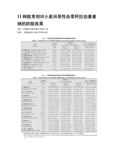 11种除草剂对小麦田恶性杂草阿拉伯婆婆纳的防除效果