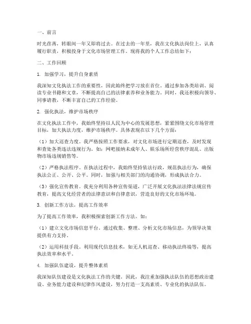 个人工作总结文化执法
