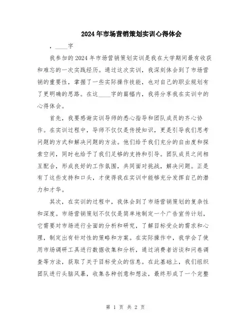2024年市场营销策划实训心得体会