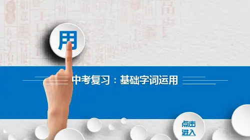 中考复习专题成语运用课件