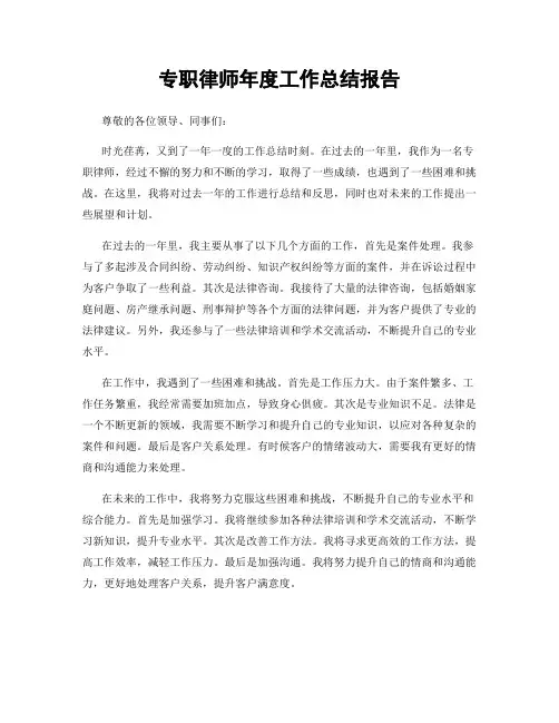 专职律师年度工作总结报告