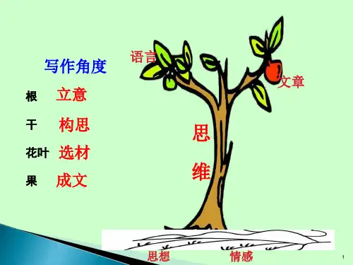 作文构思训练 、头脑风暴法(共55张PPT)