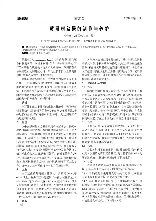 黄荆树盆景的制作与养护