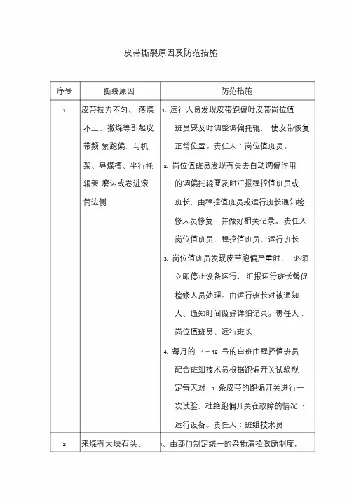 杜绝皮带撕裂分析整理版.doc