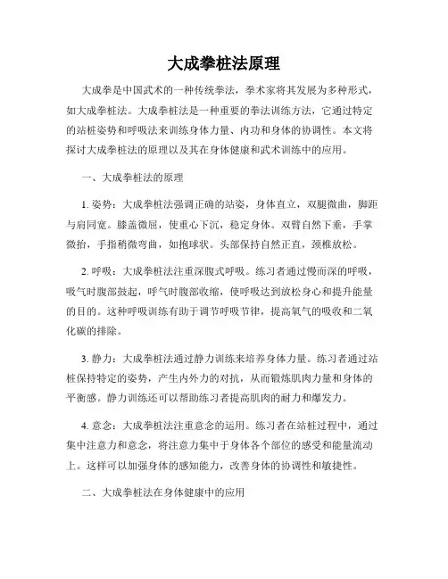 大成拳桩法原理