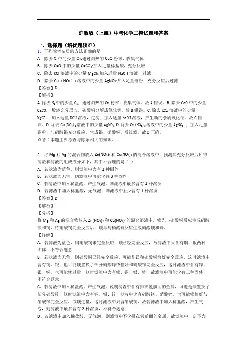 沪教版(上海)中考化学二模试题和答案