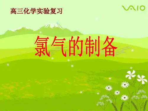 人教版高三化学高考【氯气的制备复习课件 (共38张PPT)
