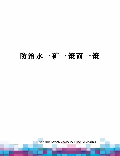 防治水一矿一策面一策