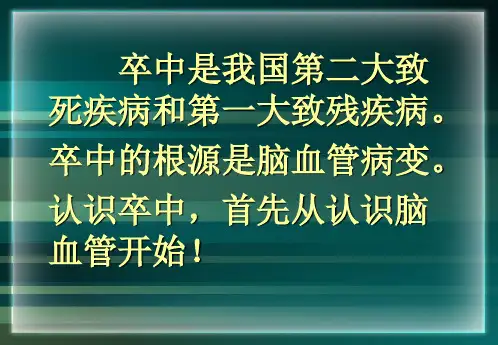脑血管解剖及影像学_PPT课件