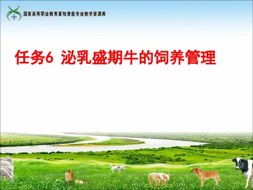 任务6泌乳盛期牛的饲养管理重点