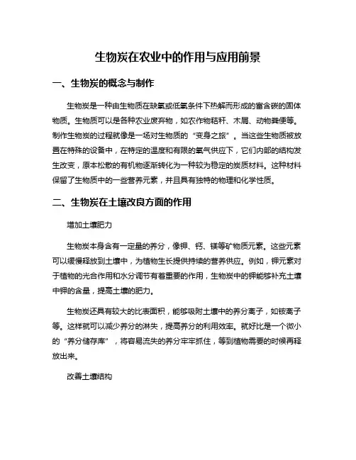 生物炭在农业中的作用与应用前景