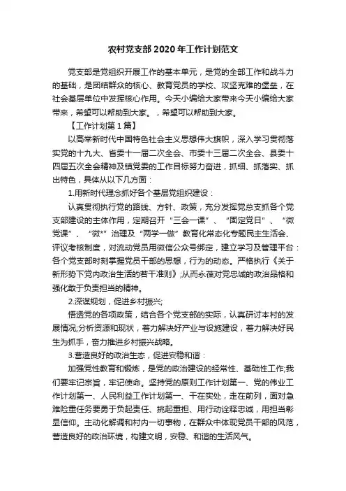 农村党支部2020年工作计划范文