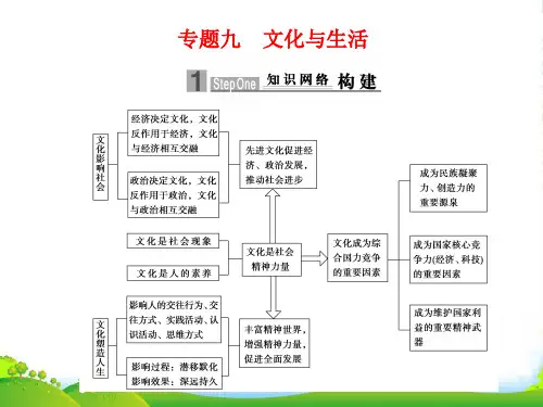 高考政治二轮专题复习 专题9 文化与生活课件 新人教