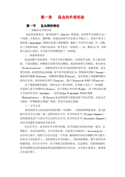 第一章 昆虫形态学