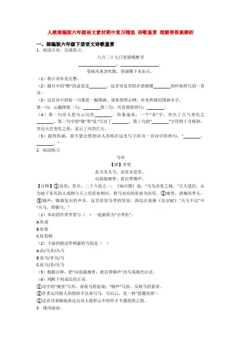 人教部编版六年级语文素材期中复习精选 诗歌鉴赏 理解带答案解析