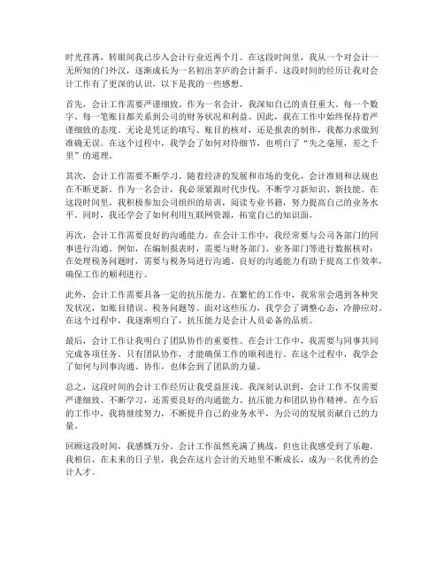 新人会计工作感想