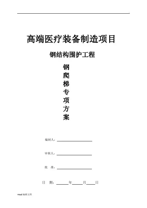 钢爬梯专项方案最新版
