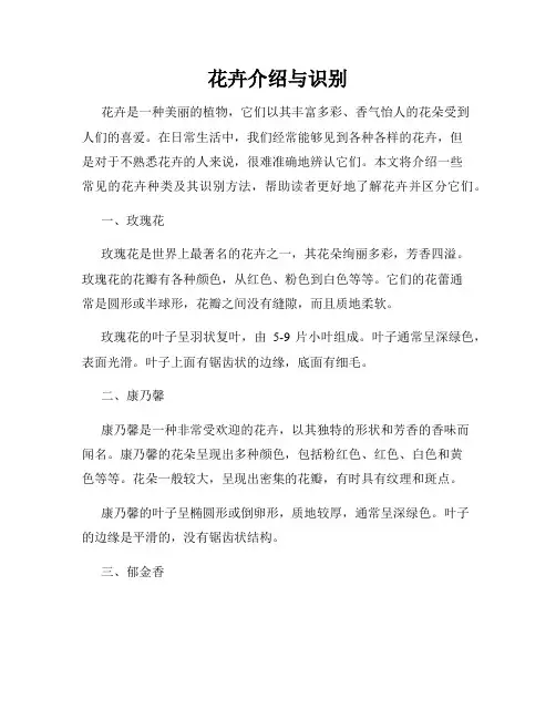 花卉介绍与识别
