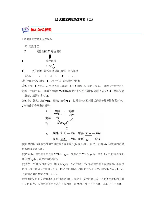 12孟德尔的豌豆杂交实验(二)