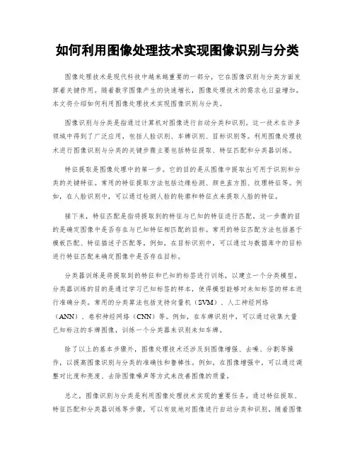如何利用图像处理技术实现图像识别与分类