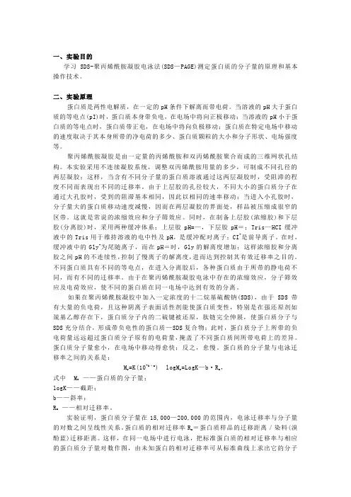 SDS-PAGE电泳实验步骤