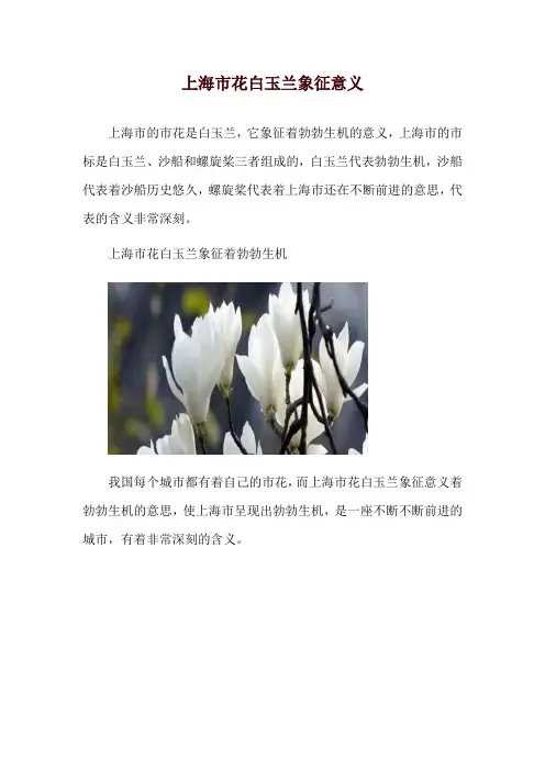 上海市花白玉兰象征意义