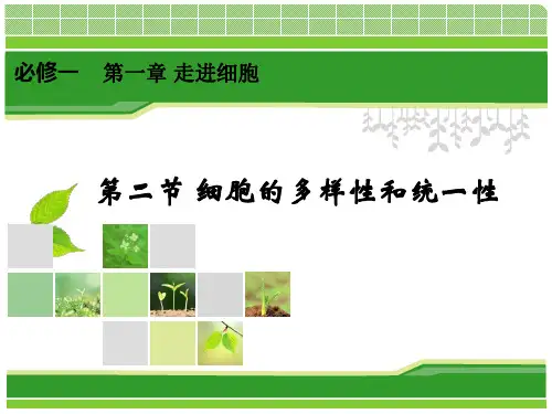 高中生物课件-1.2 细胞的多样性和统一性 (原核细胞和真核细胞)