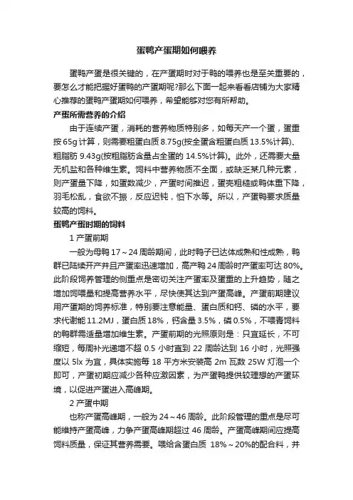 蛋鸭产蛋期如何喂养