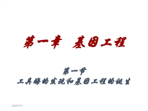 一章节基因工程幻灯片课件