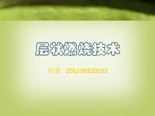 层状燃烧技术