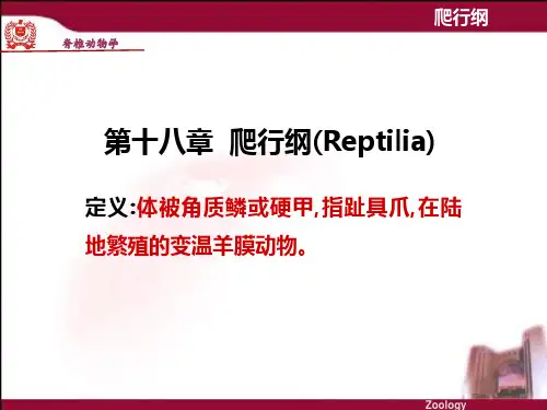 第十八章爬行纲_普通动物学