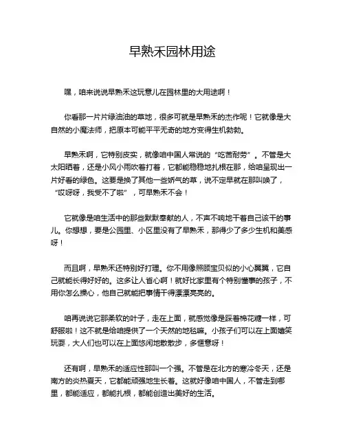 早熟禾园林用途