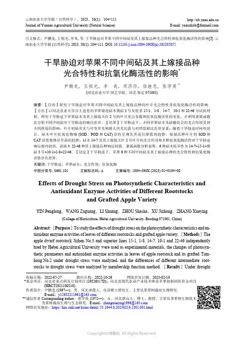 211133204_干旱胁迫对苹果不同中间砧及其上嫁接品种光合特性和抗氧化酶活性的影响