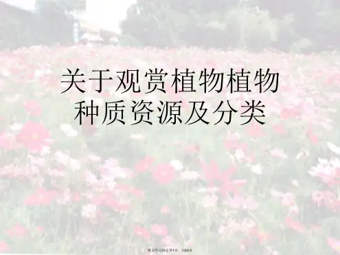 观赏植物植物种质资源及分类课件