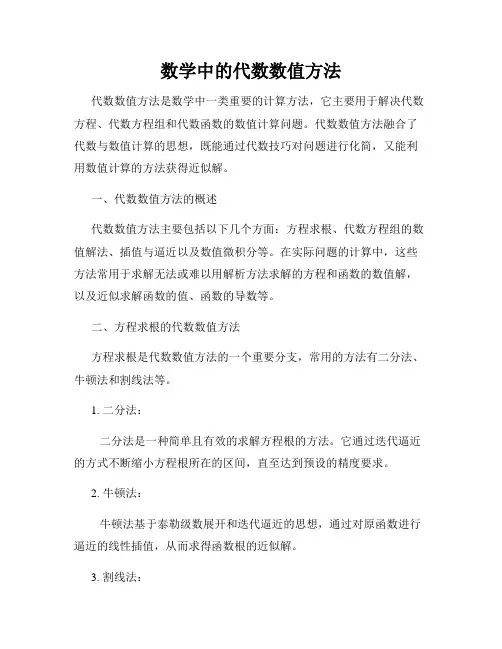 数学中的代数数值方法