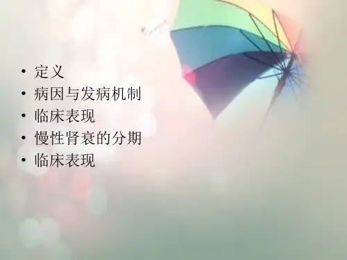 慢性肾衰病人的护理查房