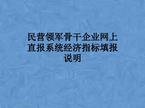 民营领军骨干企业网上直报系统经济指标填报说明