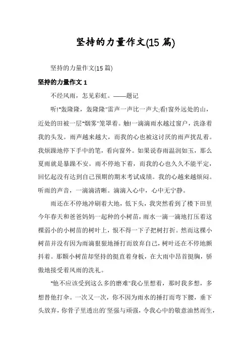 坚持的力量作文(15篇)