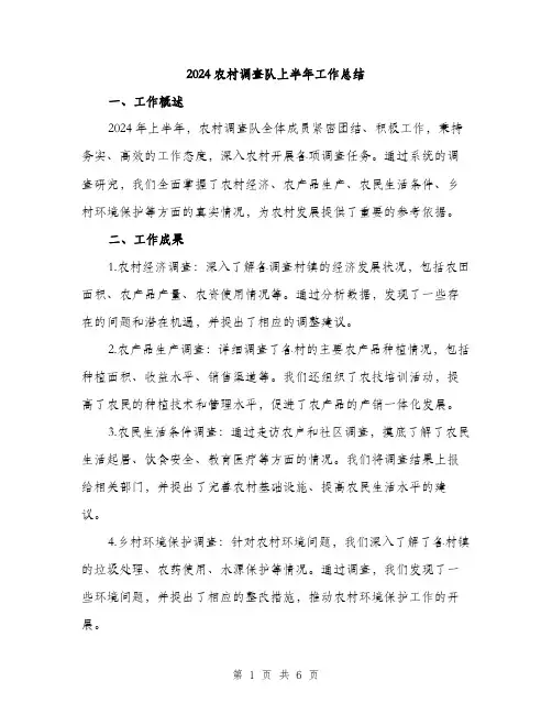 2024农村调查队上半年工作总结(二篇)