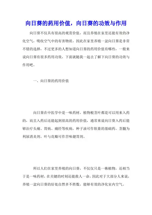 向日葵的药用价值,向日葵的功效与作用